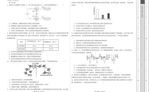 高二生物期中模拟卷03测试范围：人教版2019选必1全册（考试版A3）（新高考通用）(1)_1多考区联考_1014高二期中模拟卷（新高考通用）黄金卷：2024-2025学年高二上学期期中模拟考试