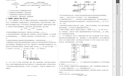 高二生物期中模拟卷03测试范围：人教版2019选必1全册（考试版A3）（新高考通用）(1)_1多考区联考_1014高二期中模拟卷（新高考通用）黄金卷：2024-2025学年高二上学期期中模拟考试