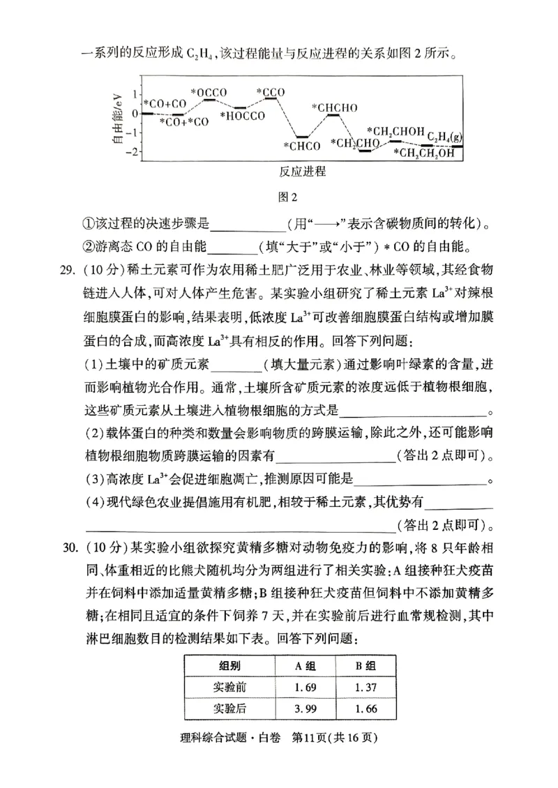 ok黑白卷白卷理综_2024高考押题卷_32024腾远黑白卷_2024黑白卷（语理数英理综）_白卷
