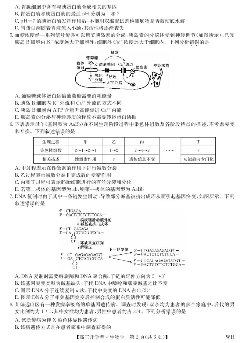生物-湖北武汉高三8月开学考_2025年8月_250822湖北省武汉市九师联盟2026届高三上学期8月开学考试（全科）_湖北省武汉市九师联盟2026届高三上学期8月开学考试生物含解析、答题卡