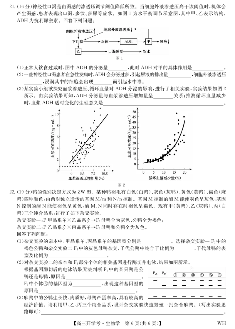 生物-湖北武汉高三8月开学考_2025年8月_250822湖北省武汉市九师联盟2026届高三上学期8月开学考试（全科）_湖北省武汉市九师联盟2026届高三上学期8月开学考试生物含解析、答题卡