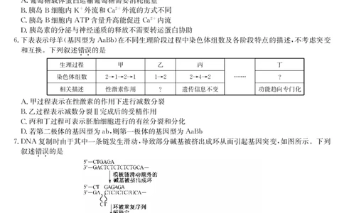 生物-湖北武汉高三8月开学考_2025年8月_250822湖北省武汉市九师联盟2026届高三上学期8月开学考试（全科）_湖北省武汉市九师联盟2026届高三上学期8月开学考试生物含解析、答题卡