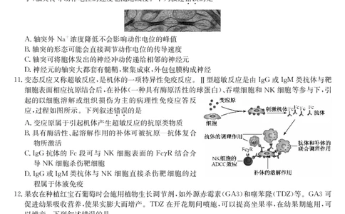 生物-湖北武汉高三8月开学考_2025年8月_250822湖北省武汉市九师联盟2026届高三上学期8月开学考试（全科）_湖北省武汉市九师联盟2026届高三上学期8月开学考试生物含解析、答题卡