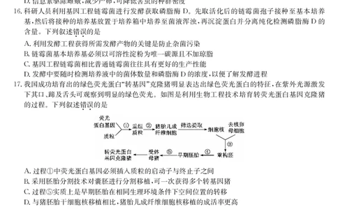 生物-湖北武汉高三8月开学考_2025年8月_250822湖北省武汉市九师联盟2026届高三上学期8月开学考试（全科）_湖北省武汉市九师联盟2026届高三上学期8月开学考试生物含解析、答题卡