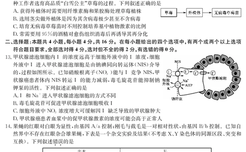 江西省萍乡市2024~2025学年度高三一模考试试卷生物_2025年3月_250309江西省萍乡市2024~2025学年度高三一模考试试卷（萍乡一模）（全科）_江西省萍乡市2024~2025学年度高三一模考试生物