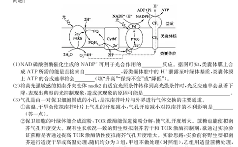 江西省萍乡市2024~2025学年度高三一模考试试卷生物_2025年3月_250309江西省萍乡市2024~2025学年度高三一模考试试卷（萍乡一模）（全科）_江西省萍乡市2024~2025学年度高三一模考试生物