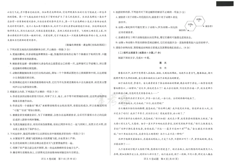 2024年天星高考临考预测押题密卷新教材理科卷（语文）_2024高考押题卷_12024天星全系列_@@@天星临考押题密卷汇总重复_2024年tx高考临考押题密卷新教材全国版理科
