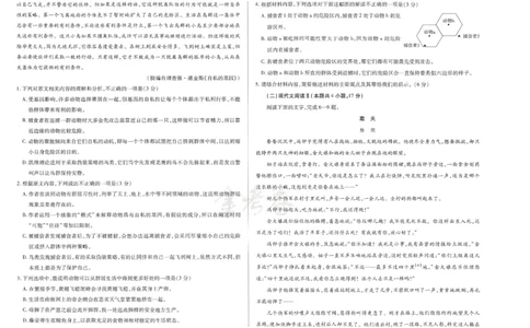 2024年天星高考临考预测押题密卷新教材理科卷（语文）_2024高考押题卷_12024天星全系列_@@@天星临考押题密卷汇总重复_2024年tx高考临考押题密卷新教材全国版理科