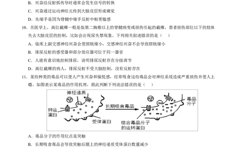 高二生物上学期第一次月考卷（天津专用）（考试版）_1多考区联考试卷_2510142025-2026学年高二生物上学期第一次月考试题