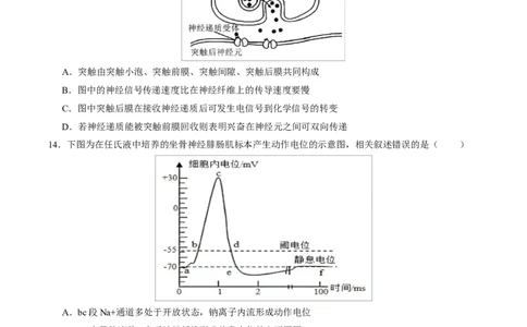 高二生物上学期第一次月考卷（天津专用）（考试版）_1多考区联考试卷_2510142025-2026学年高二生物上学期第一次月考试题