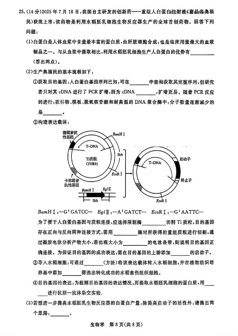 生物试题｜26届强基联盟国庆返校考_2025年10月_251012浙江省强基联盟2025-2026学年高三上学期10月联考（全科）_浙江省强基联盟2025-2026学年高三上学期10月联考生物试题（含答案）