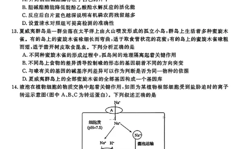 生物试题｜26届强基联盟国庆返校考_2025年10月_251012浙江省强基联盟2025-2026学年高三上学期10月联考（全科）_浙江省强基联盟2025-2026学年高三上学期10月联考生物试题（含答案）