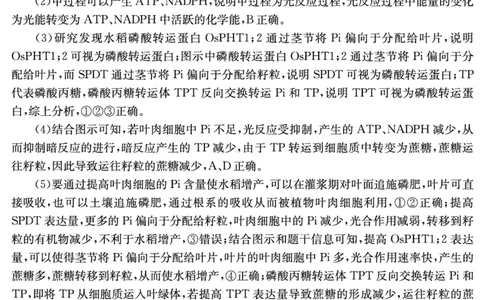 湖南省2025届普通高中名校联考信息卷（模拟一）生物答案_2025年3月_250331湖南省2025届普通高中名校联考信息卷（模拟一）（全科）