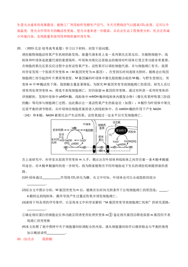 专题03细胞呼吸与光合作用（解析卷）_近10年高考真题汇编（必刷）_十年（2014-2024）高考生物真题分项汇编（全国通用）_2023年高考真题和模拟题生物分项汇编（全国通用）