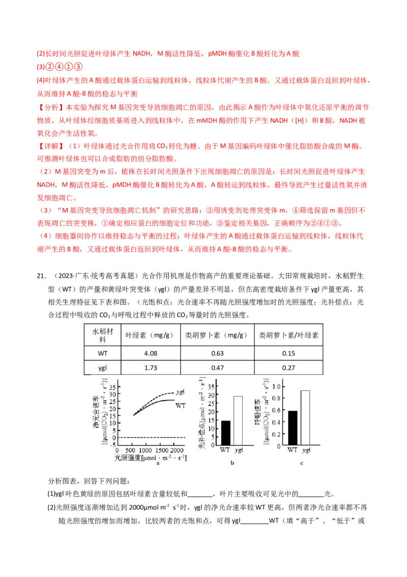 专题03细胞呼吸与光合作用（解析卷）_近10年高考真题汇编（必刷）_十年（2014-2024）高考生物真题分项汇编（全国通用）_2023年高考真题和模拟题生物分项汇编（全国通用）