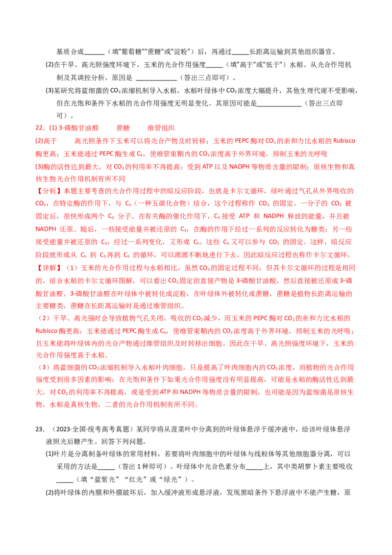 专题03细胞呼吸与光合作用（解析卷）_近10年高考真题汇编（必刷）_十年（2014-2024）高考生物真题分项汇编（全国通用）_2023年高考真题和模拟题生物分项汇编（全国通用）
