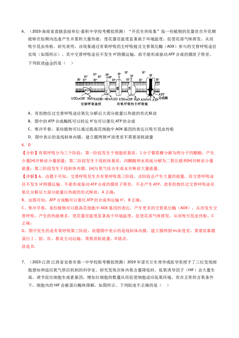 专题03细胞呼吸与光合作用（解析卷）_近10年高考真题汇编（必刷）_十年（2014-2024）高考生物真题分项汇编（全国通用）_2023年高考真题和模拟题生物分项汇编（全国通用）