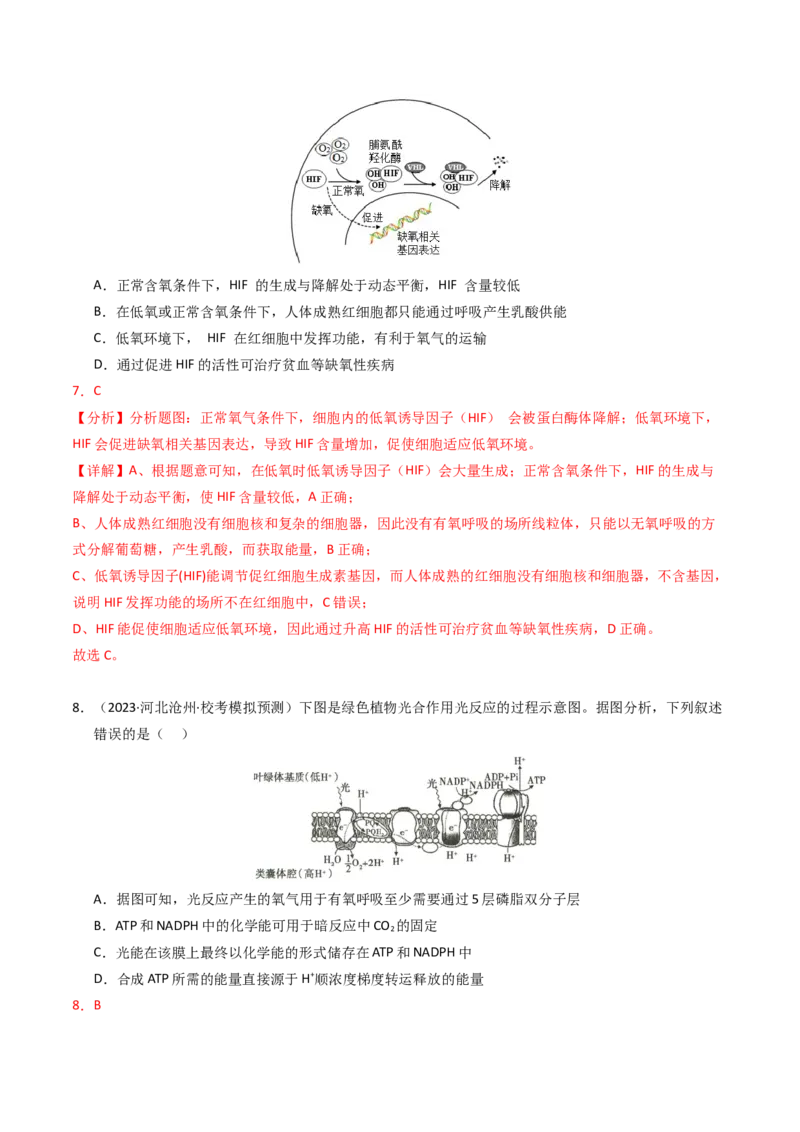 专题03细胞呼吸与光合作用（解析卷）_近10年高考真题汇编（必刷）_十年（2014-2024）高考生物真题分项汇编（全国通用）_2023年高考真题和模拟题生物分项汇编（全国通用）