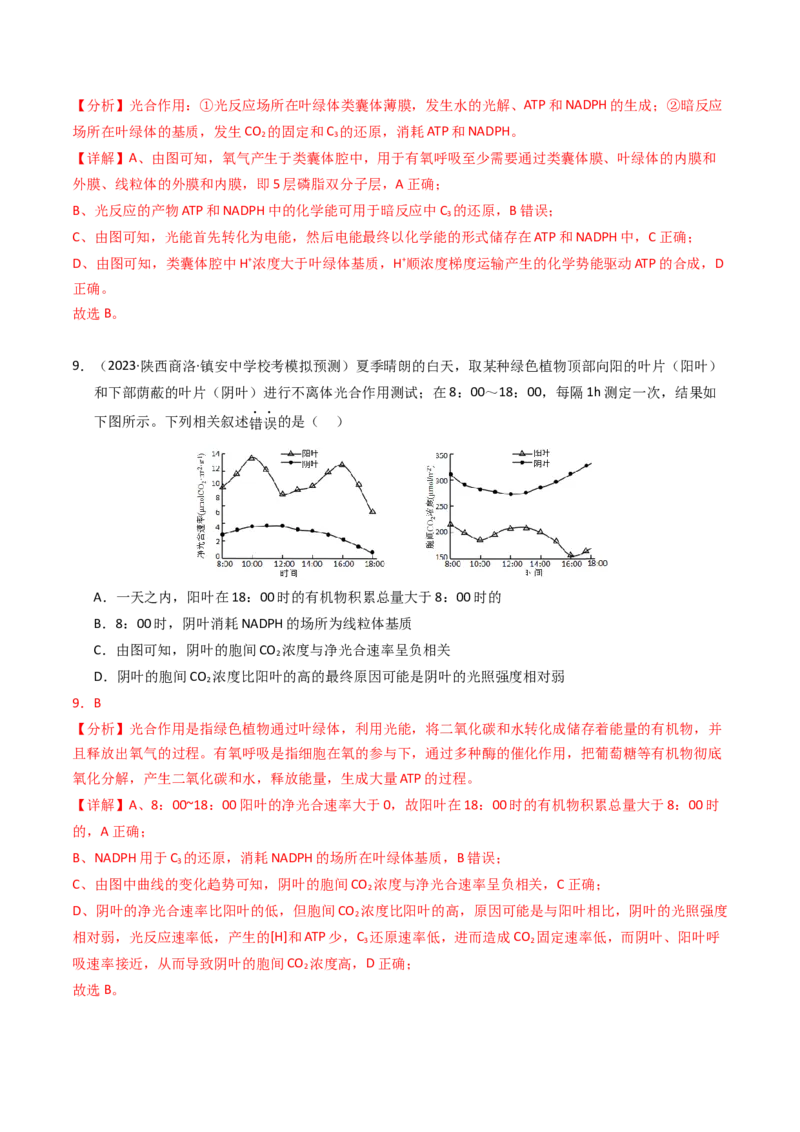 专题03细胞呼吸与光合作用（解析卷）_近10年高考真题汇编（必刷）_十年（2014-2024）高考生物真题分项汇编（全国通用）_2023年高考真题和模拟题生物分项汇编（全国通用）