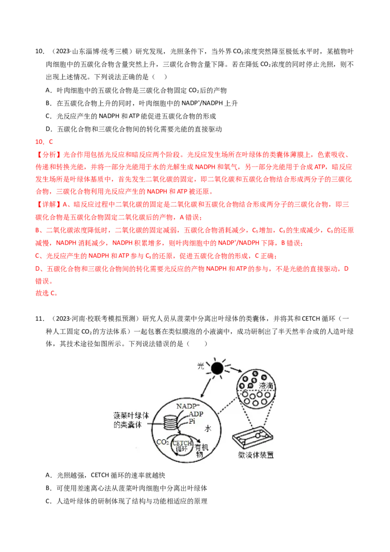专题03细胞呼吸与光合作用（解析卷）_近10年高考真题汇编（必刷）_十年（2014-2024）高考生物真题分项汇编（全国通用）_2023年高考真题和模拟题生物分项汇编（全国通用）