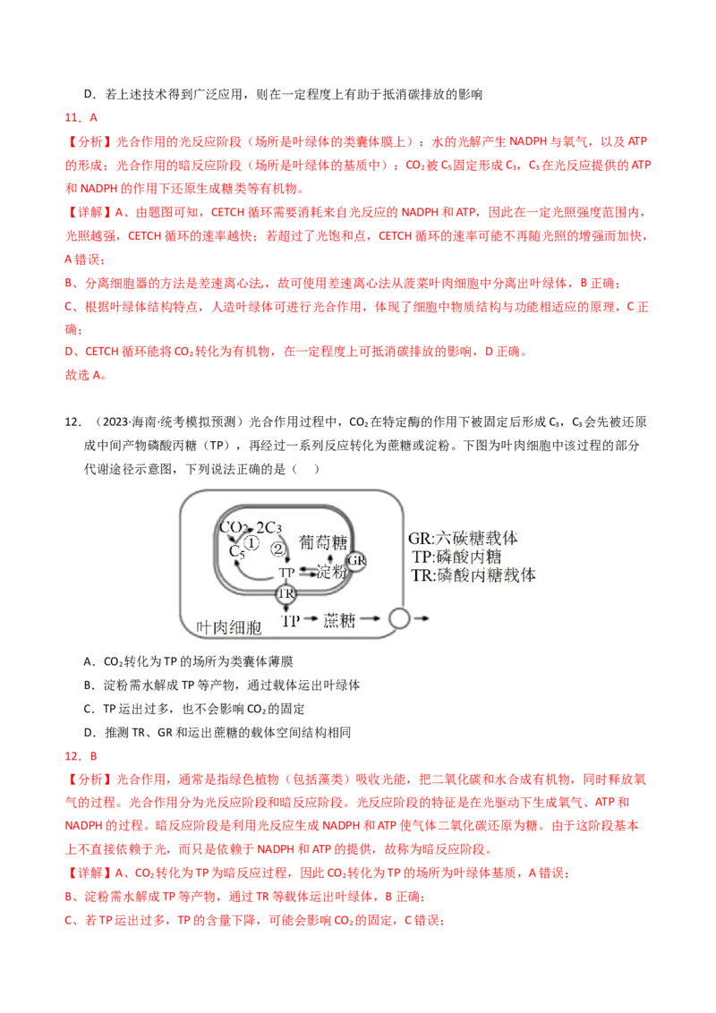 专题03细胞呼吸与光合作用（解析卷）_近10年高考真题汇编（必刷）_十年（2014-2024）高考生物真题分项汇编（全国通用）_2023年高考真题和模拟题生物分项汇编（全国通用）