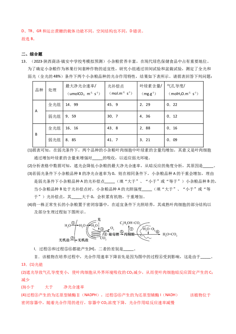 专题03细胞呼吸与光合作用（解析卷）_近10年高考真题汇编（必刷）_十年（2014-2024）高考生物真题分项汇编（全国通用）_2023年高考真题和模拟题生物分项汇编（全国通用）