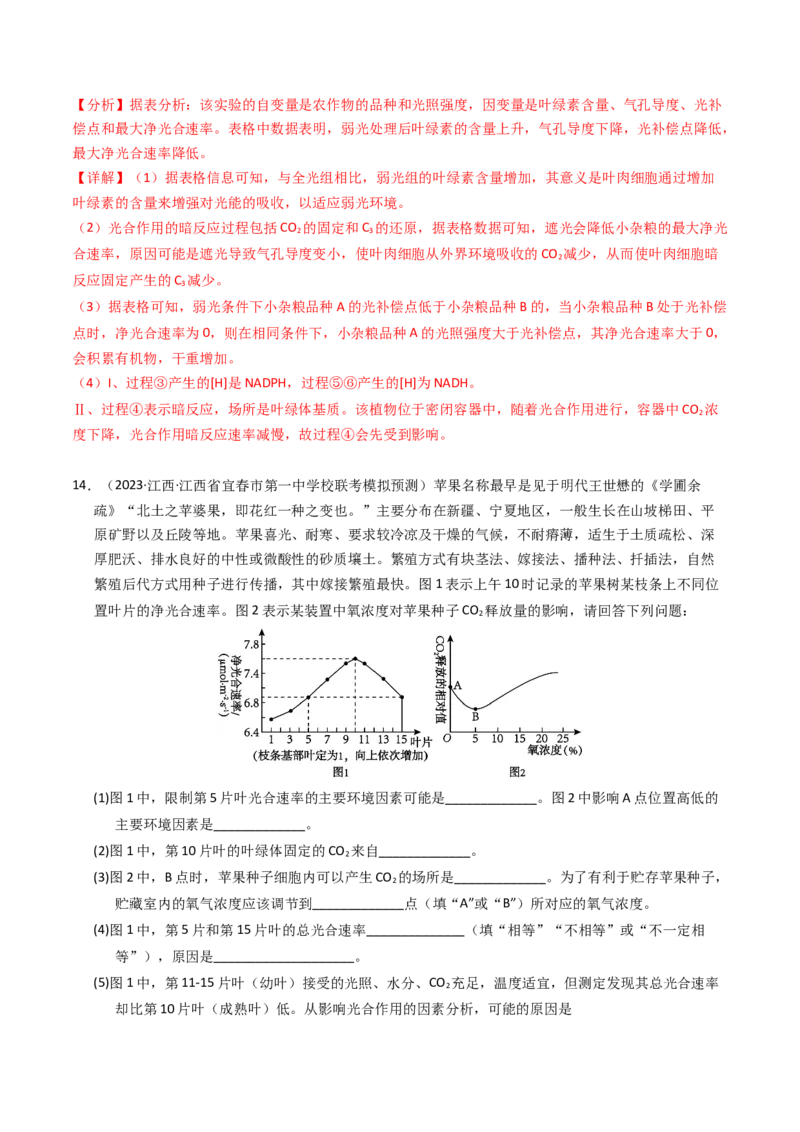 专题03细胞呼吸与光合作用（解析卷）_近10年高考真题汇编（必刷）_十年（2014-2024）高考生物真题分项汇编（全国通用）_2023年高考真题和模拟题生物分项汇编（全国通用）