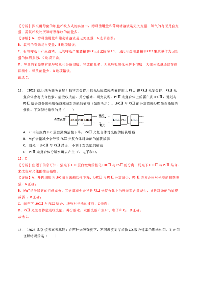 专题03细胞呼吸与光合作用（解析卷）_近10年高考真题汇编（必刷）_十年（2014-2024）高考生物真题分项汇编（全国通用）_2023年高考真题和模拟题生物分项汇编（全国通用）