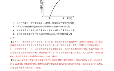 专题03细胞呼吸与光合作用（解析卷）_近10年高考真题汇编（必刷）_十年（2014-2024）高考生物真题分项汇编（全国通用）_2023年高考真题和模拟题生物分项汇编（全国通用）