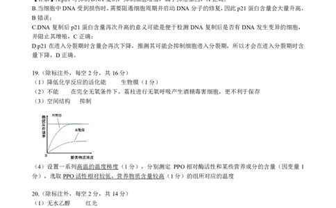 湖北省&ldquo;新八校&rdquo;协作体2025-2026学年度上学期高三10月月考生物答案_2025年10月_251013湖北省&ldquo;新八校&rdquo;协作体2025-2026学年度上学期高三10月月考（全科）