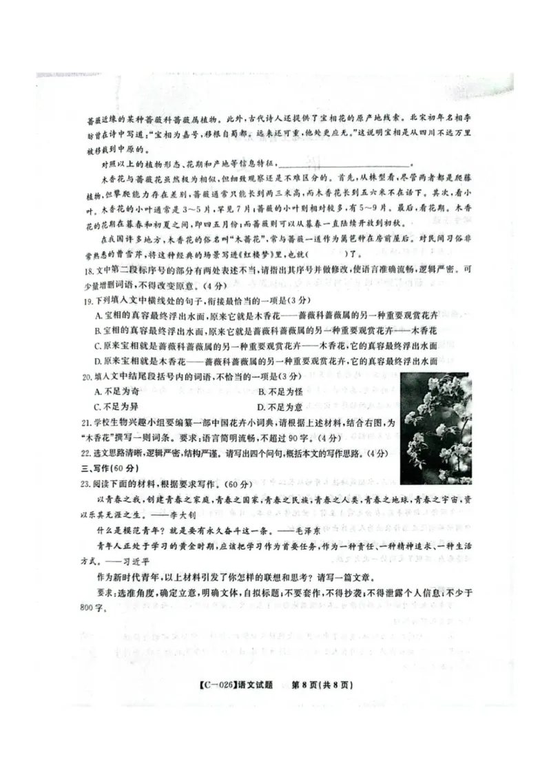 语文试题_2025年11月_251120江西省九校2025-2026学年高三上学期11月期中考试（全科）_江西省九校2025-2026学年高三上学期11月期中考试语文试卷（含答案）