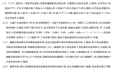 山西三晋卓越联盟2025-2026高三10月质量检测（26-X-028C）生物(B)答案_2025年10月_251017山西三晋卓越联盟2025-2026高三10月质量检测（26-X-028C）（全科）