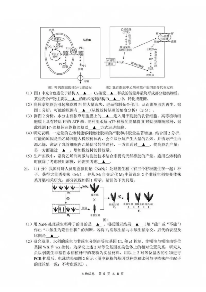 江苏省新高考基地学校2024-2025学年高三下学期期初质量监测生物学试卷（含答案）_2025年2月_250227江苏省新高考基地学校2024-2025学年高三下学期期初质量监测（全科）