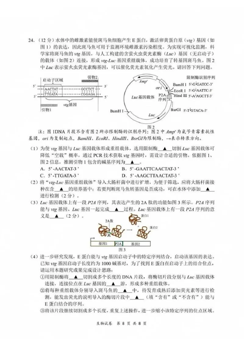 江苏省新高考基地学校2024-2025学年高三下学期期初质量监测生物学试卷（含答案）_2025年2月_250227江苏省新高考基地学校2024-2025学年高三下学期期初质量监测（全科）