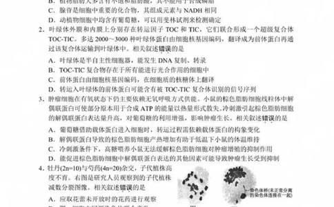 江苏省新高考基地学校2024-2025学年高三下学期期初质量监测生物学试卷（含答案）_2025年2月_250227江苏省新高考基地学校2024-2025学年高三下学期期初质量监测（全科）