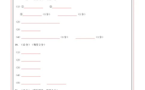 高二化学期中模拟卷（答题卡）A4版(1)_1多考区联考_1014高二期中模拟卷（新高考通用）黄金卷：2024-2025学年高二上学期期中模拟考试