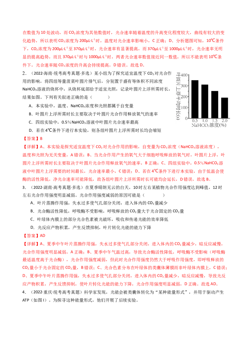 专题06光合作用（解析卷）_近10年高考真题汇编（必刷）_十年（2014-2024）高考生物真题分项汇编（全国通用）_十年（2014-2023）高考生物真题分项汇编（全国通用）