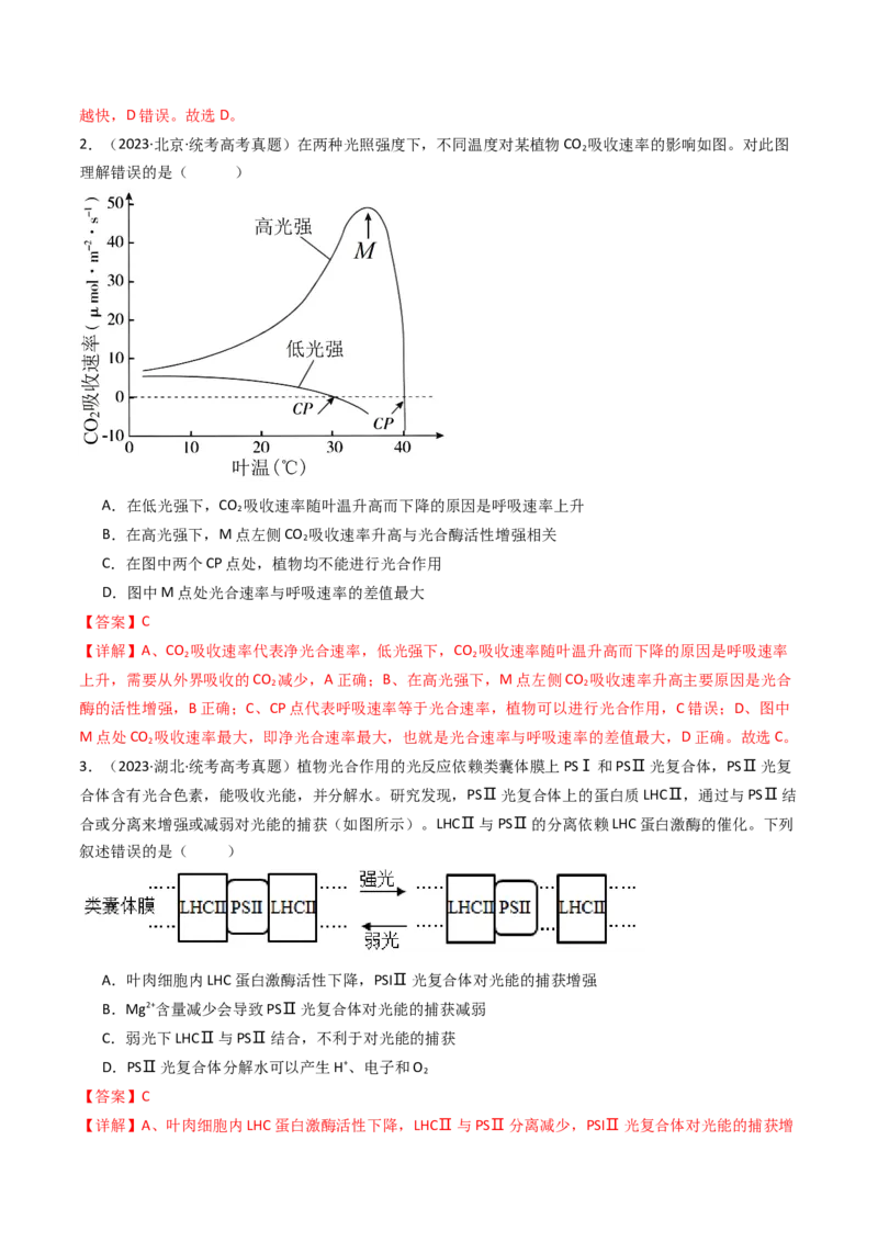 专题06光合作用（解析卷）_近10年高考真题汇编（必刷）_十年（2014-2024）高考生物真题分项汇编（全国通用）_十年（2014-2023）高考生物真题分项汇编（全国通用）