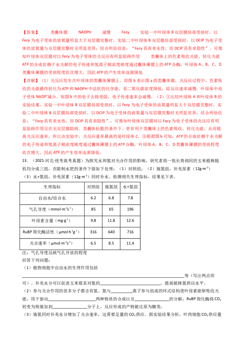 专题06光合作用（解析卷）_近10年高考真题汇编（必刷）_十年（2014-2024）高考生物真题分项汇编（全国通用）_十年（2014-2023）高考生物真题分项汇编（全国通用）