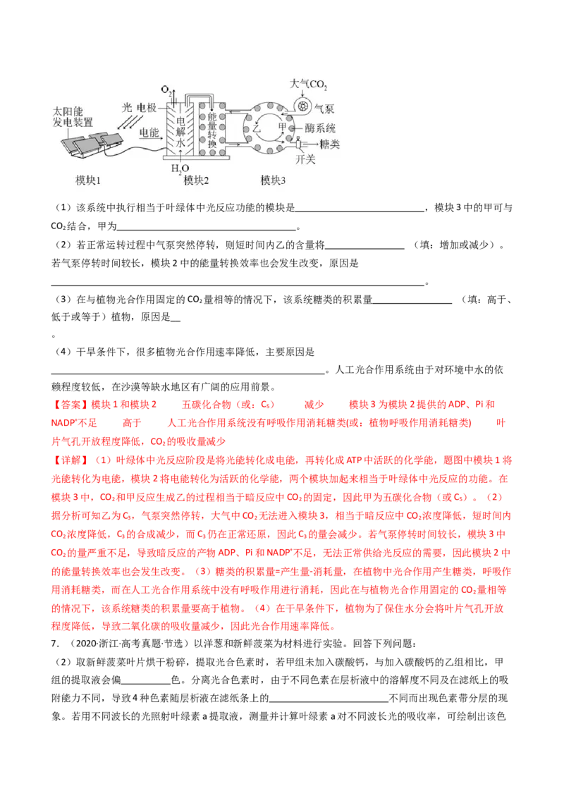 专题06光合作用（解析卷）_近10年高考真题汇编（必刷）_十年（2014-2024）高考生物真题分项汇编（全国通用）_十年（2014-2023）高考生物真题分项汇编（全国通用）