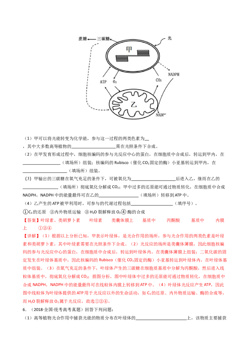 专题06光合作用（解析卷）_近10年高考真题汇编（必刷）_十年（2014-2024）高考生物真题分项汇编（全国通用）_十年（2014-2023）高考生物真题分项汇编（全国通用）