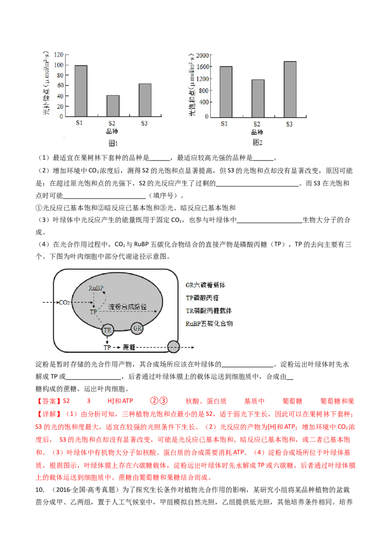 专题06光合作用（解析卷）_近10年高考真题汇编（必刷）_十年（2014-2024）高考生物真题分项汇编（全国通用）_十年（2014-2023）高考生物真题分项汇编（全国通用）