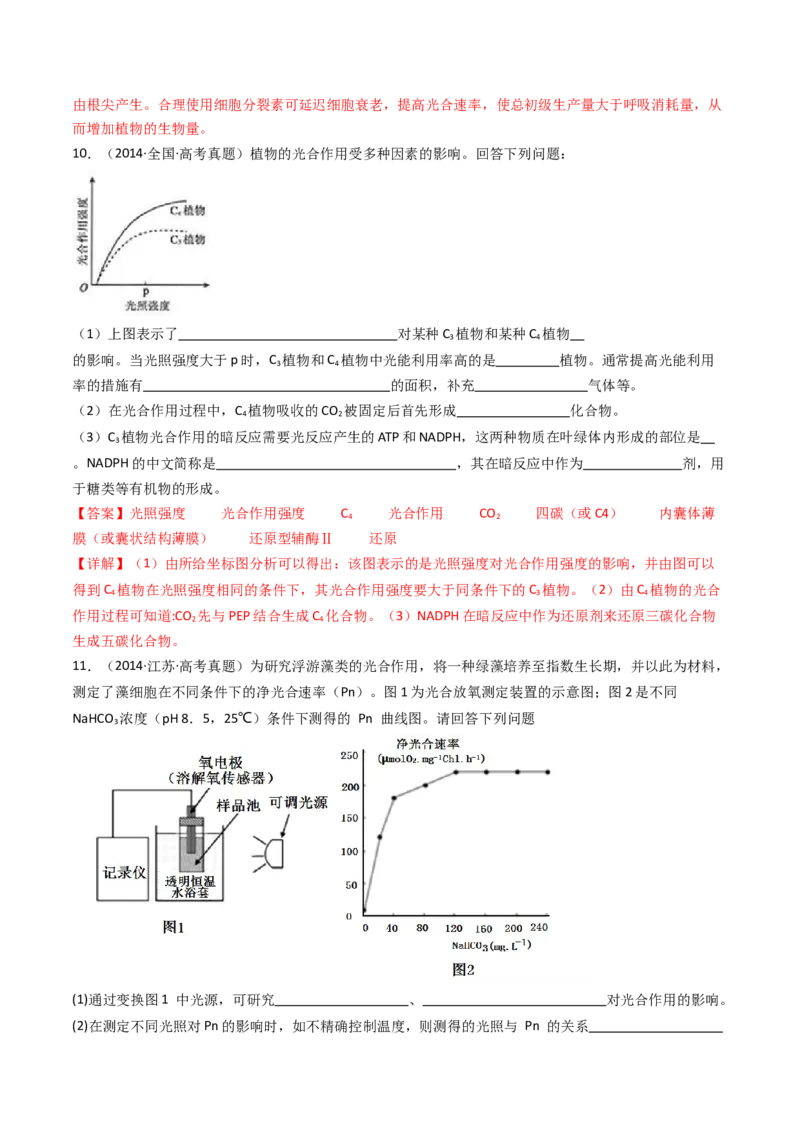 专题06光合作用（解析卷）_近10年高考真题汇编（必刷）_十年（2014-2024）高考生物真题分项汇编（全国通用）_十年（2014-2023）高考生物真题分项汇编（全国通用）
