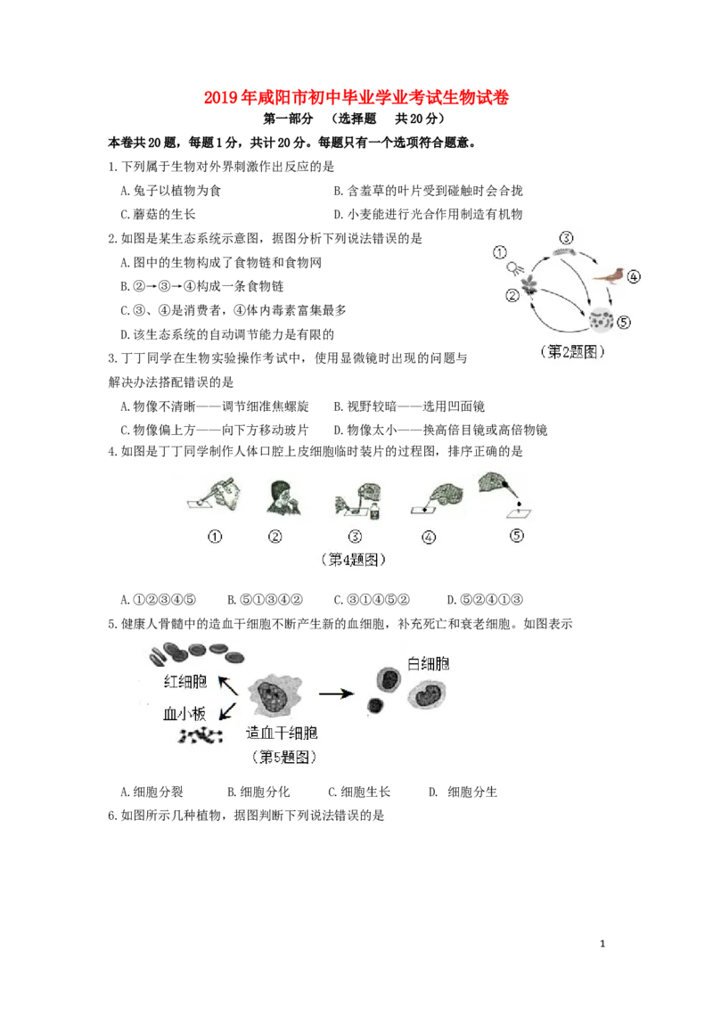 陕西省咸阳市2019年中考生物真题试题_中考真题_8.生物中考真题2015-2024年_2019年全国中考生物92份
