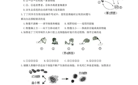 陕西省咸阳市2019年中考生物真题试题_中考真题_8.生物中考真题2015-2024年_2019年全国中考生物92份