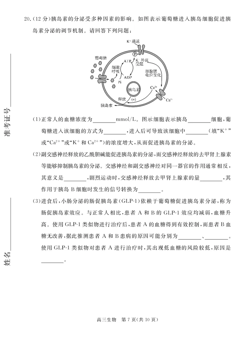 河北省张家口市2024~2025学年高三上学期期末教学质量监测生物_2025年1月_250114河北省张家口市2024~2025学年高三上学期期末教学质量监测（全科）