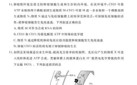 河北省张家口市2024~2025学年高三上学期期末教学质量监测生物_2025年1月_250114河北省张家口市2024~2025学年高三上学期期末教学质量监测（全科）