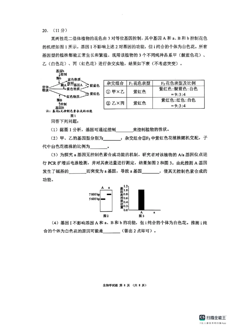 四川省（蓉城名校联盟）新高考2022级第二次联合诊断考试生物_2025年2月_250223四川省（蓉城名校联盟）新高考2022级第二次联合诊断考试