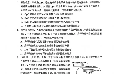 四川省（蓉城名校联盟）新高考2022级第二次联合诊断考试生物_2025年2月_250223四川省（蓉城名校联盟）新高考2022级第二次联合诊断考试