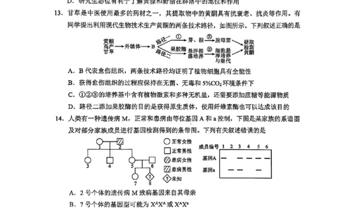 四川省（蓉城名校联盟）新高考2022级第二次联合诊断考试生物_2025年2月_250223四川省（蓉城名校联盟）新高考2022级第二次联合诊断考试